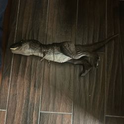 Jurassic Park T-Rex Toy