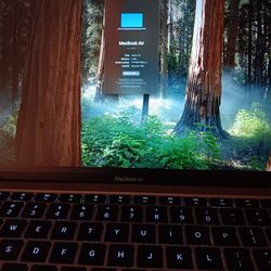 2020 M1 MacBook Air - 13 in - 256 GB - 8 GB RAM