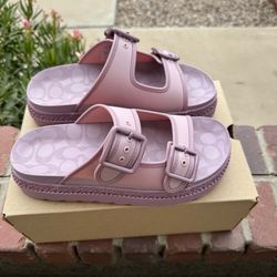 Coach Lainey Lilac sz 8