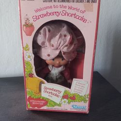 Vintage 1980 Kenner Strawberry Shortcake Doll No.43020 NIB