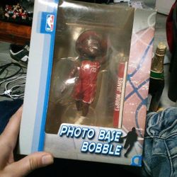 NBA LeBron James Photo Base Bobblehead