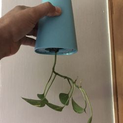 Sky Planter By Boskke 