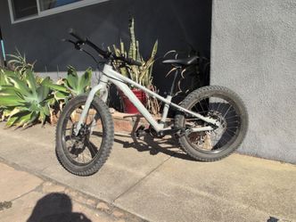 Kids 20 in Giant mountain bike