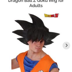 Used Goku Wig 