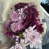 Lily0_0