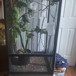 Chameleon Cage 24x24x48 