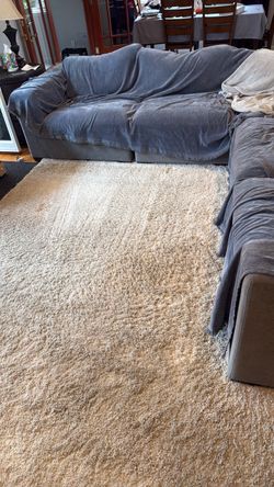 Safavieh Rug