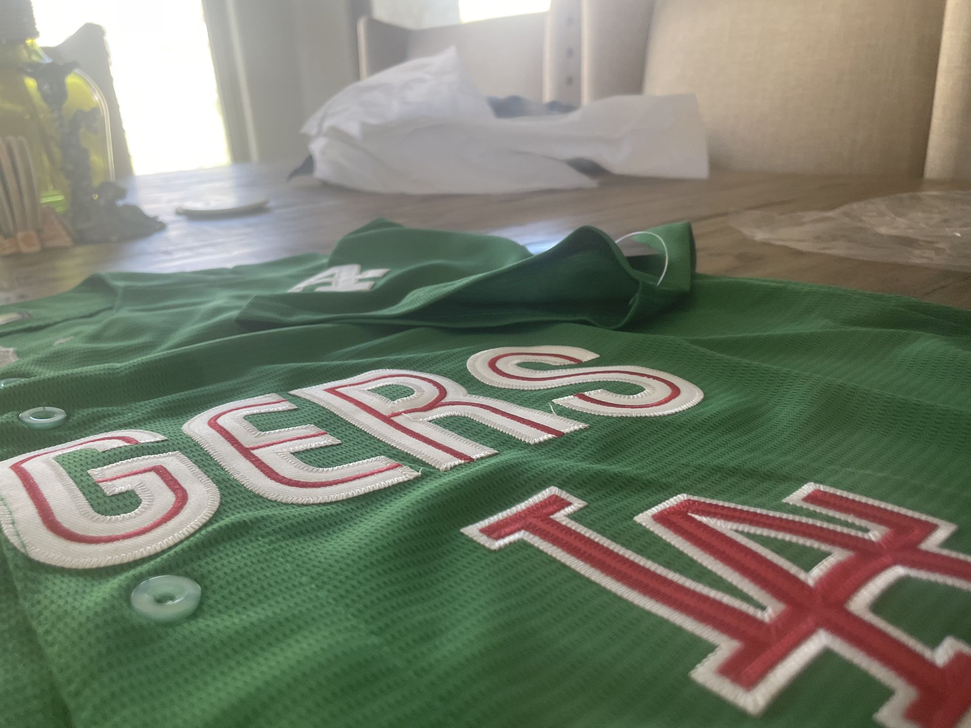Custom Acrylic Mini Dodgers Jersey LED for Sale in Moreno Valley, CA -  OfferUp