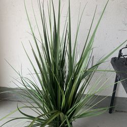 Artificial Plant With Ceramic Base