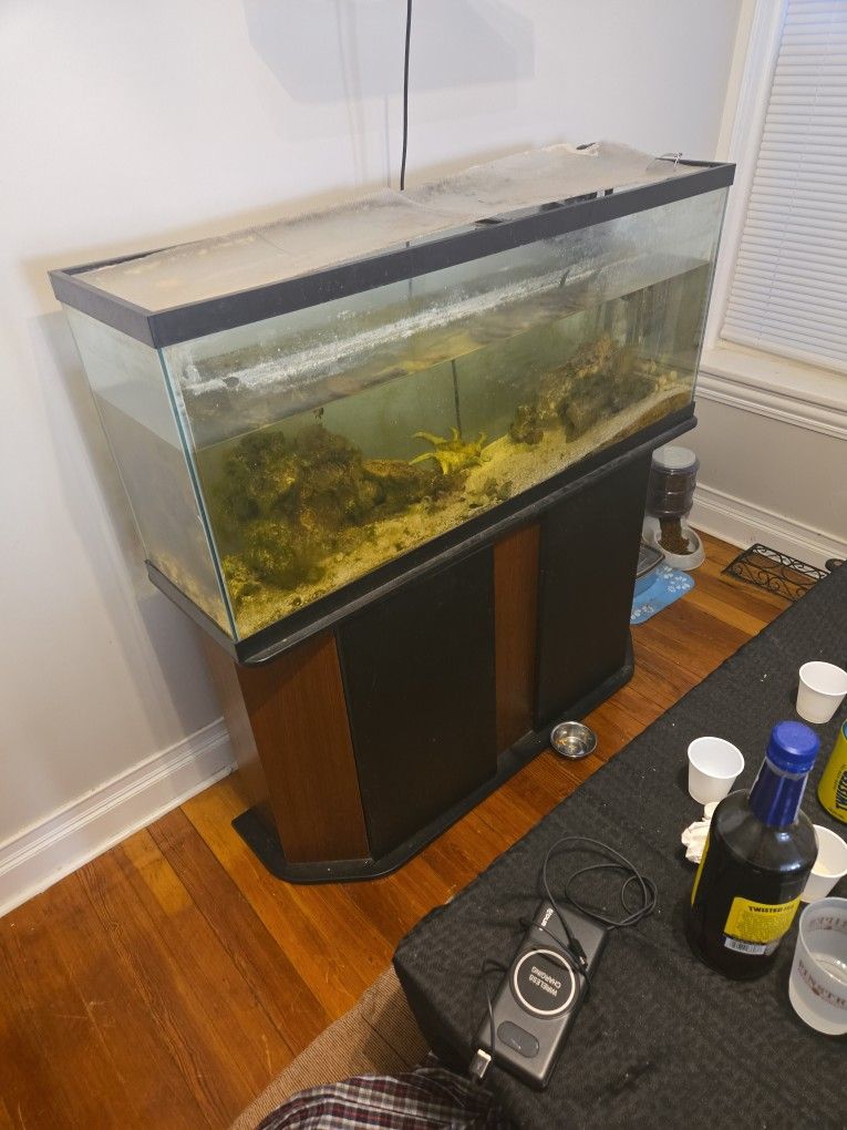 55 Gallon Saltwater Fish Tank W/ Stand And Fish