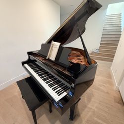 Baby Grand Piano Young Chang