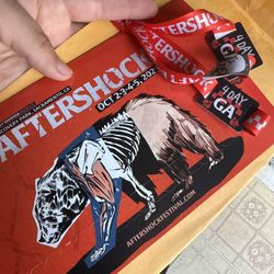 2 Aftershock 4-day Tickets