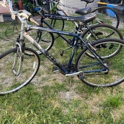 Buenas  Condiciones Cada Una 