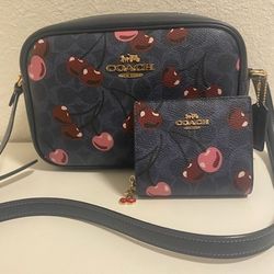 Coach Purse/Wallet