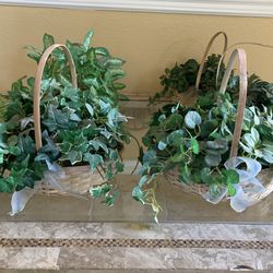 Fake Plants/ Flower Baskets