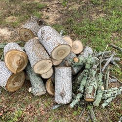 Free Dry Oak Firewood 