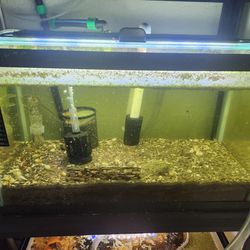 10g Fish Tanks, Only With Lights And Filters9 I8auO2ihfZ8
