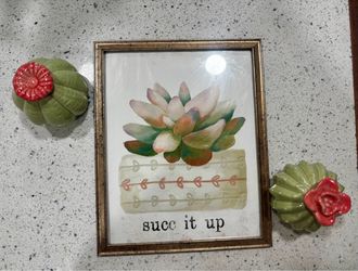 Succulent/ cactus decor