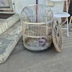 Old Bird Cage