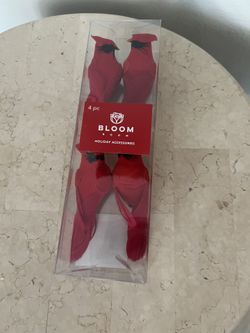 Bloom Room 4-piece set of red cardinal holiday Accessory Clips For Floral Arrangements Or Decor 