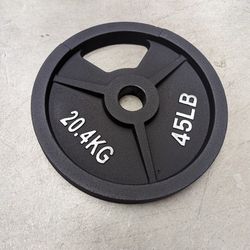 45 lb Weight Plate, Cast Iron