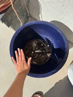 Pots for sale