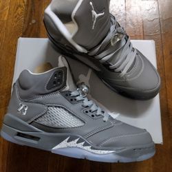 Air Jordan 5s Size 11