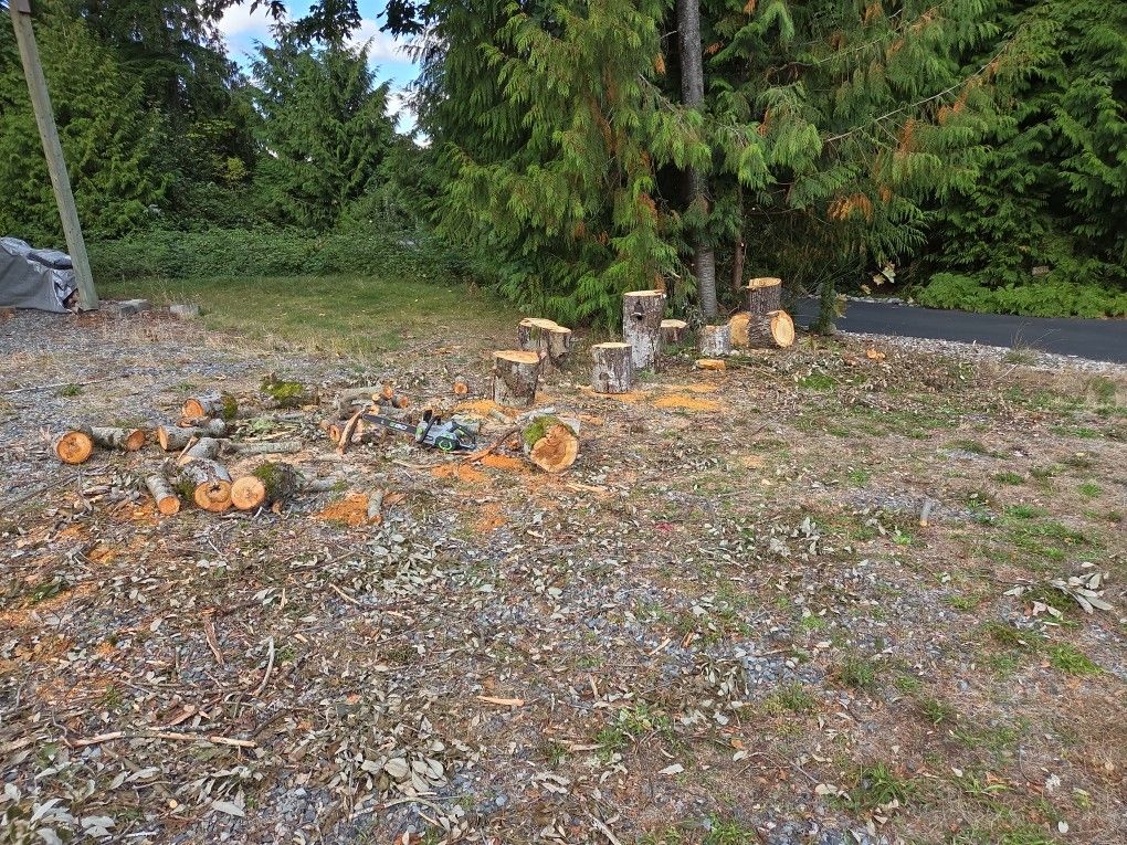 Free Firewood Drive Up