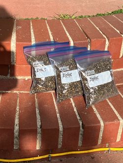 Rabbit Poop Fertilizer