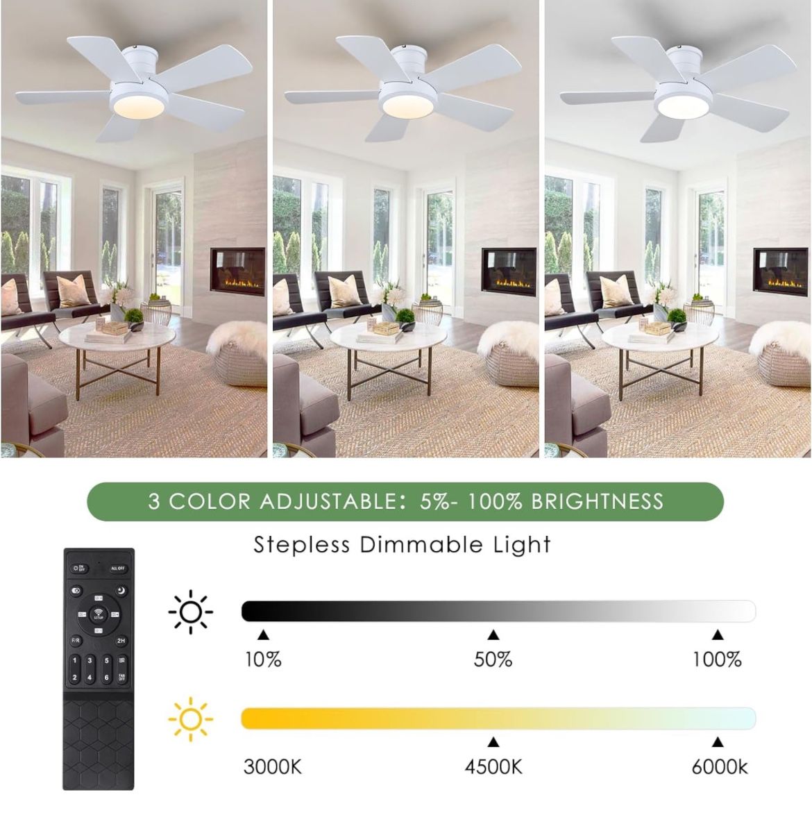 New Ceiling Fans With Light (BW1)