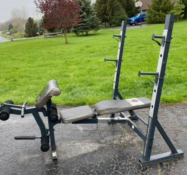 Adjustable Olympic Weight Bench/Incline/Squat Stand/Preacher Curl/
Leg Attachment. 
$150 OBO