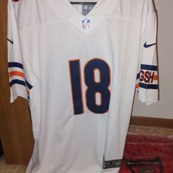 Bears Jersey 