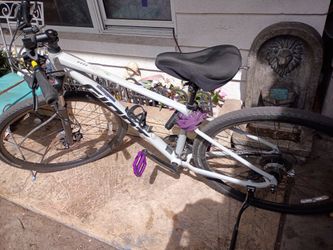 Gaint  Bike with Purple Pedals
