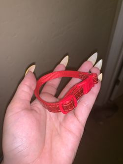 Extra Small Dog Collar