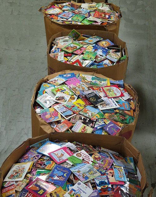 BULK BOOKS ALL YOU CAN HAUL FOR $40