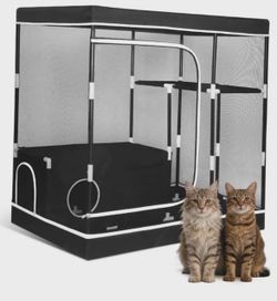 Cat in playpin