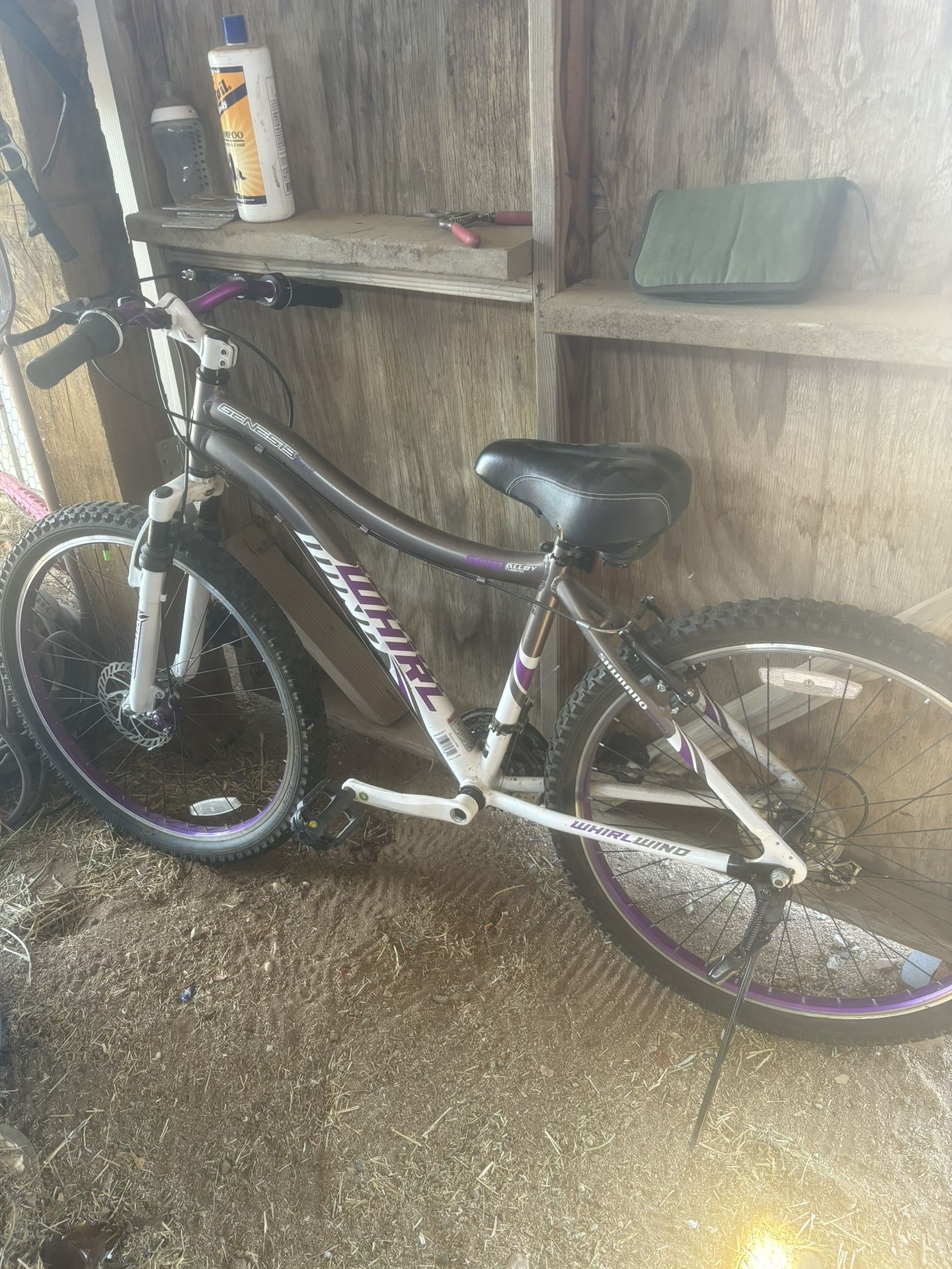 Bicicleta 