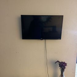 Tv, Tv Stand, Table , Chairs, Desk, Couch 