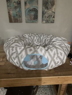 Kitten play bed