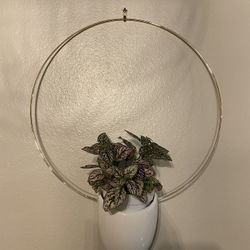 Gold Ring Wall Hanging Planter
