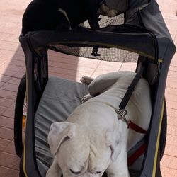 Dog Stroller Ibayaya 