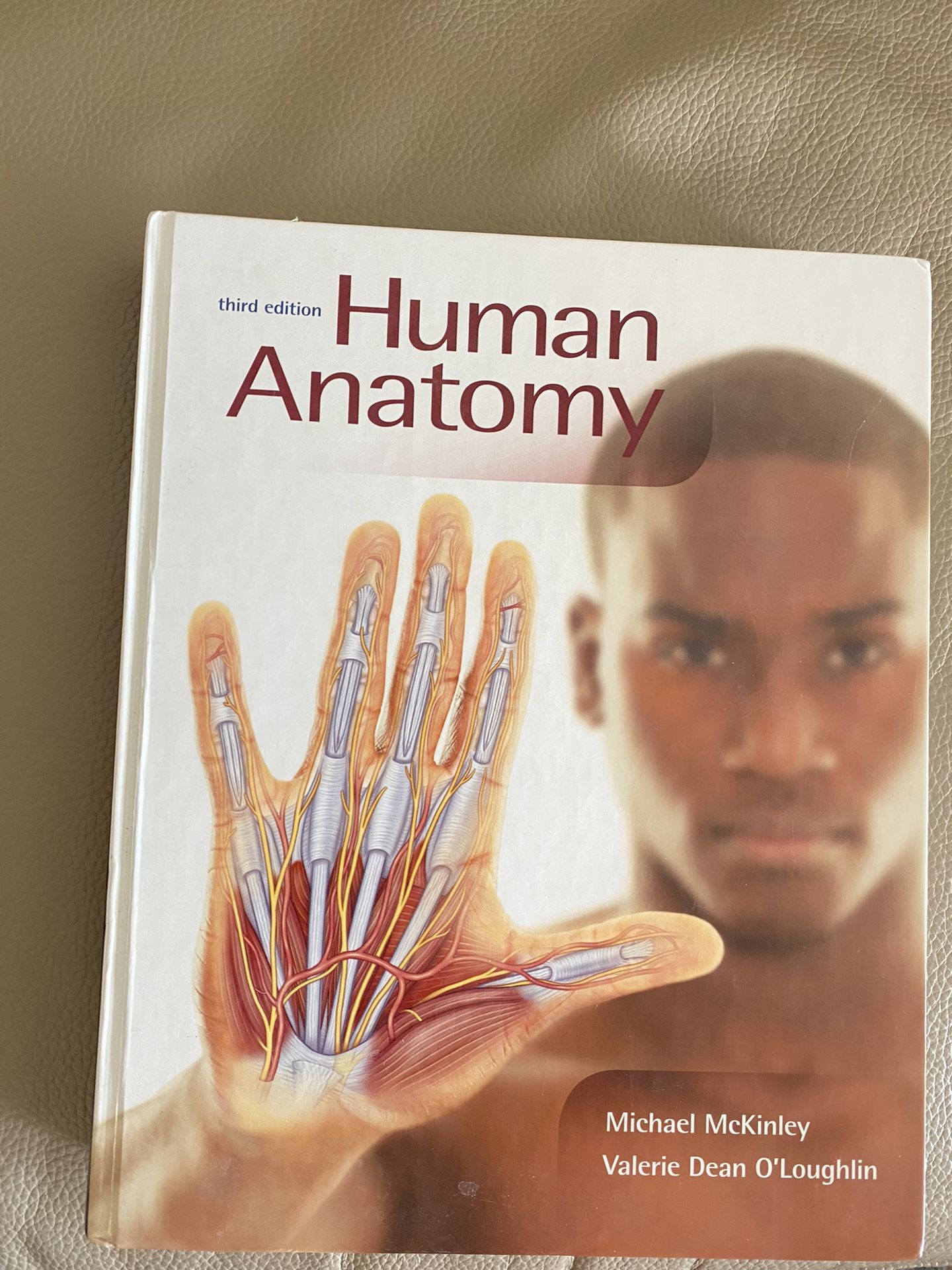Human Anatomy