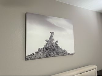 Two Large Photograph Canvases of Wild Animals