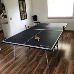 Ping Pong Table