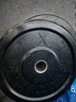 45lbs  Bumper Weights