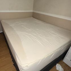 Plush Mattress (Very Soft and Cushiony) + Box Spring