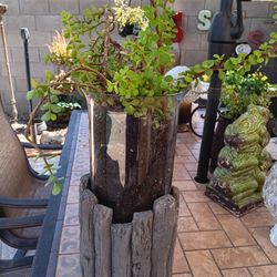 $22 Great Heavy Cement Stand Glass Container Holding🪴Easy Care Elephant Bush Succulent 17" Tall 
