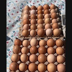Fresh Farm Eggs 