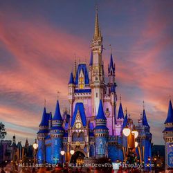 Disney World Tickets 