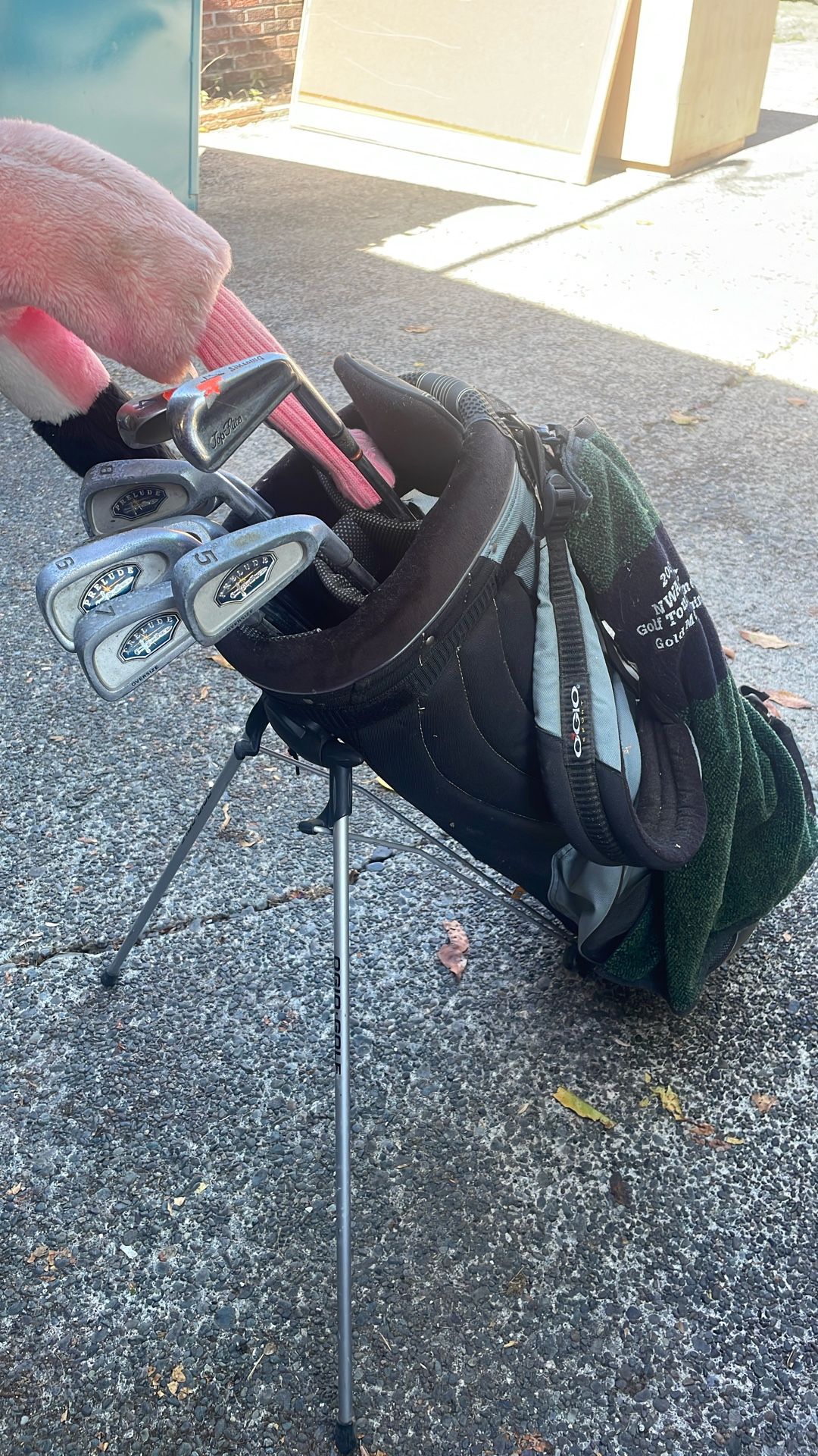 Women’s/youth Golf Set